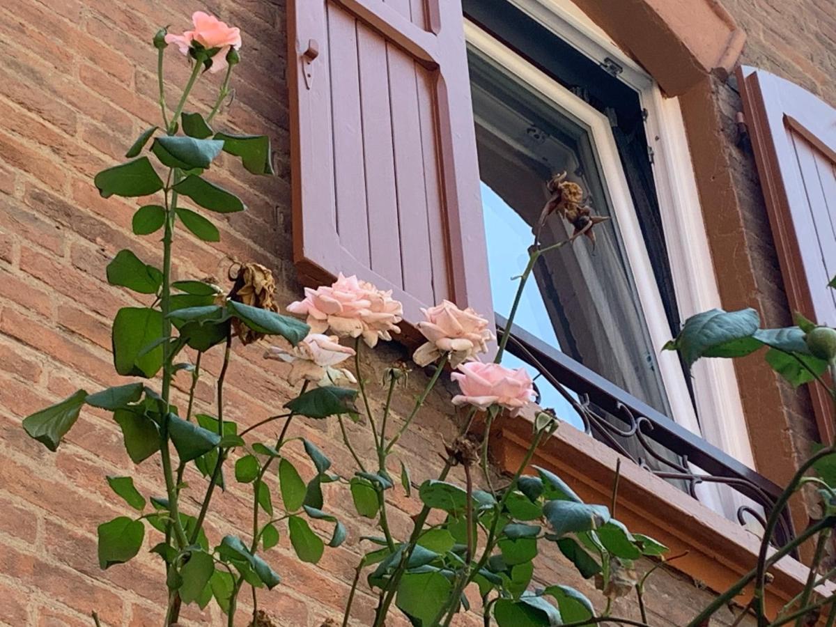 Apartament Casina Delle Rose Bolonia Zewnętrze zdjęcie